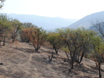 Imagen 5