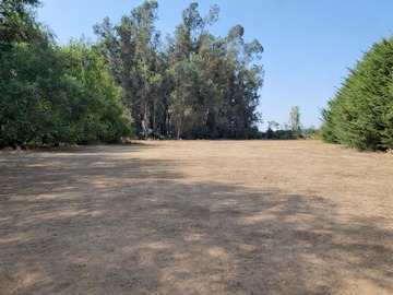 Venta / Sitio / Curicó