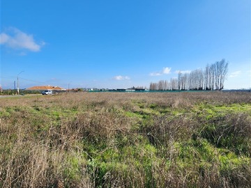 Venta / Sitio / Curicó