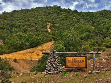 Venta / Sitio / Curicó
