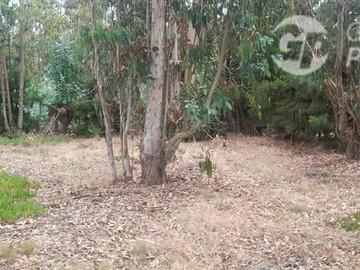 Imagen 9