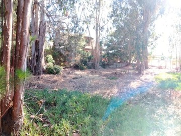 Venta / Sitio / El Quisco