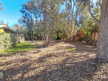 Venta / Sitio / El Quisco