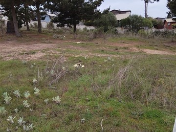 Imagen 6