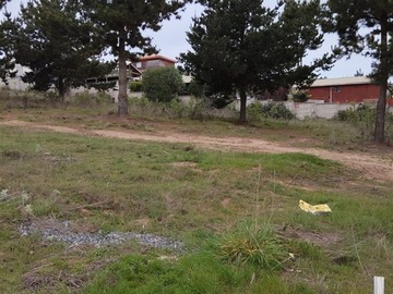 Imagen 4