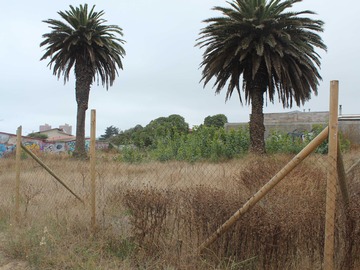 Venta / Sitio / El Tabo