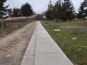 Imagen 11