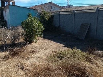 Venta / Sitio / El Tabo