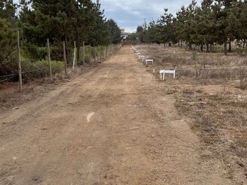 Imagen 9