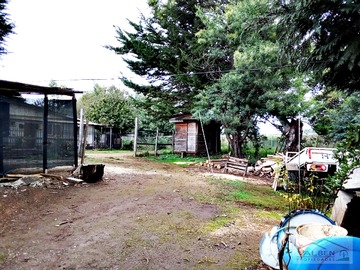 Imagen 7