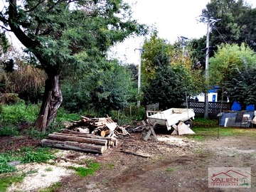 Imagen 11