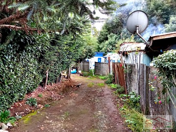 Imagen 9