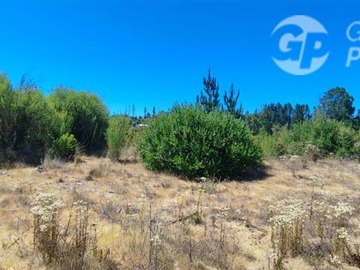 Imagen 9