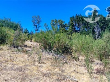 Imagen 6