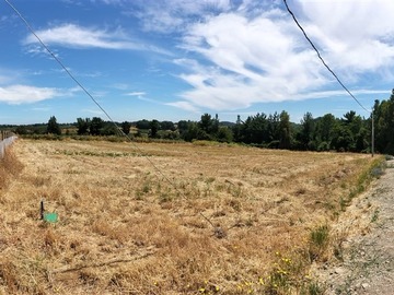 Venta / Sitio / Freire