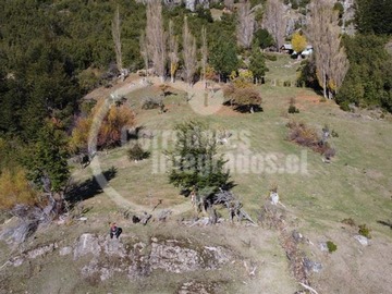 Imagen 16