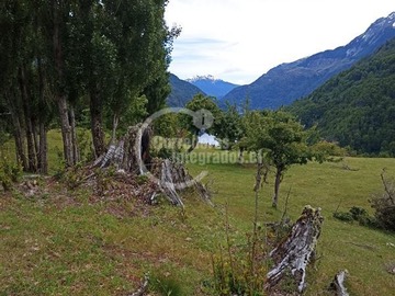 Imagen 6