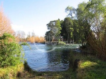 Imagen 13