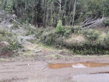 Venta / Sitio / General Lagos