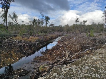 Venta / Sitio / General Lagos