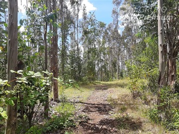 Venta / Sitio / Gorbea