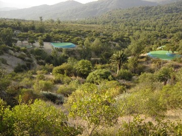 Venta / Sitio / Hijuelas