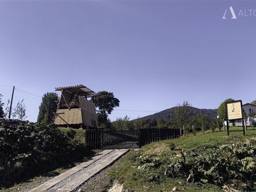 Imagen 7