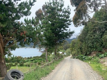 Imagen 9