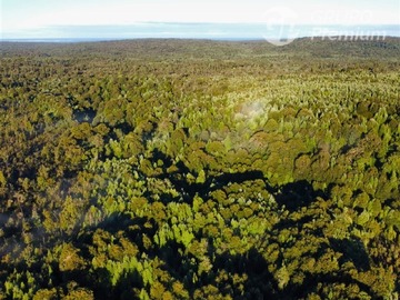 Venta / Sitio / Hualaihué
