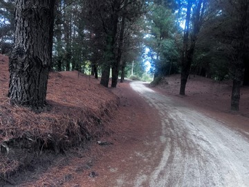 Venta / Sitio / Hualqui
