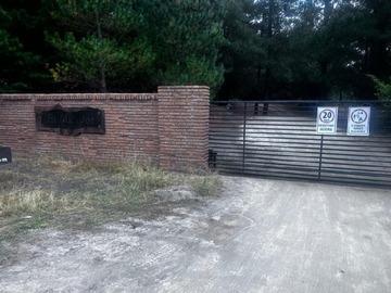 Imagen 21