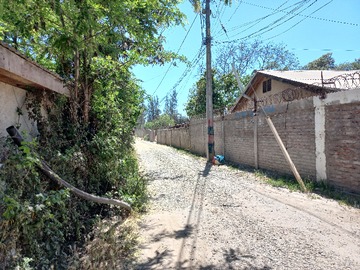 Imagen 6