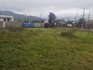 Imagen 13