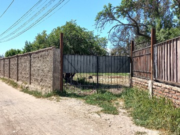 Imagen 8