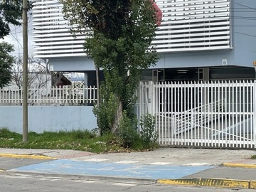 Imagen 7