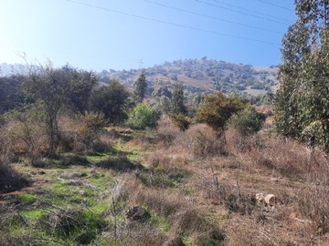 Imagen 6