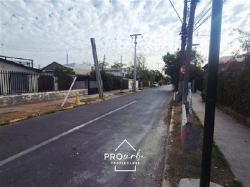 Imagen 6
