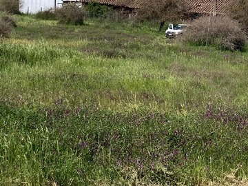 Venta / Sitio / La Estrella