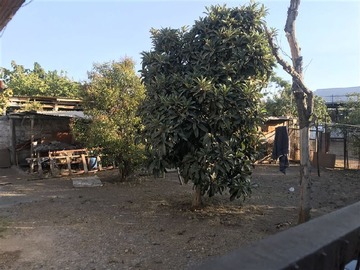 Imagen 6