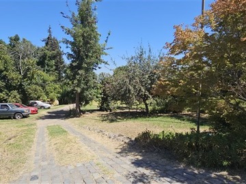 Imagen 21