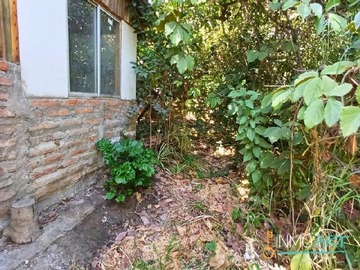 Imagen 12