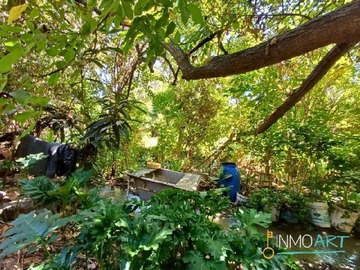 Imagen 8