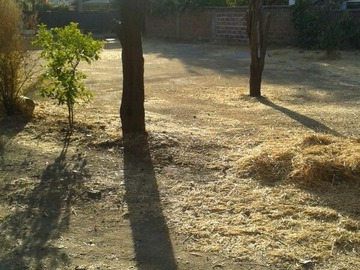 Imagen 6