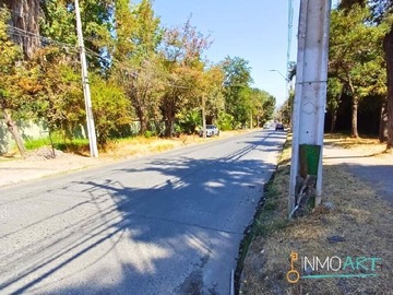 Imagen 20