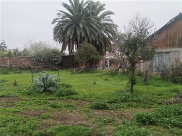 Imagen 6