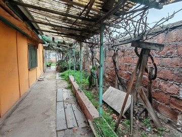 Imagen 8