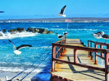 Venta / Sitio / La Higuera