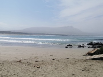 Venta / Sitio / La Ligua