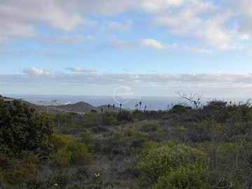 Venta / Sitio / La Ligua