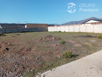 Imagen 6